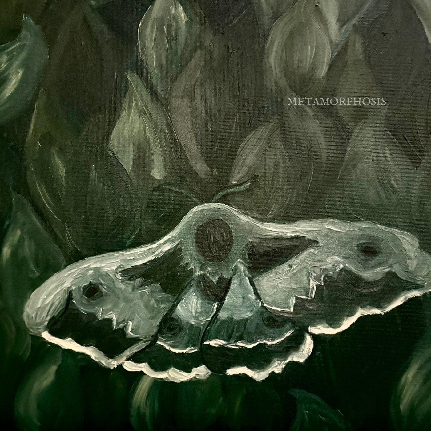 Metamorphosis album cover