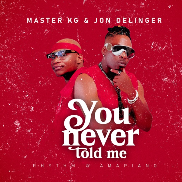 You Never Told Me (feat. Miss Twaggy) - Single album cover