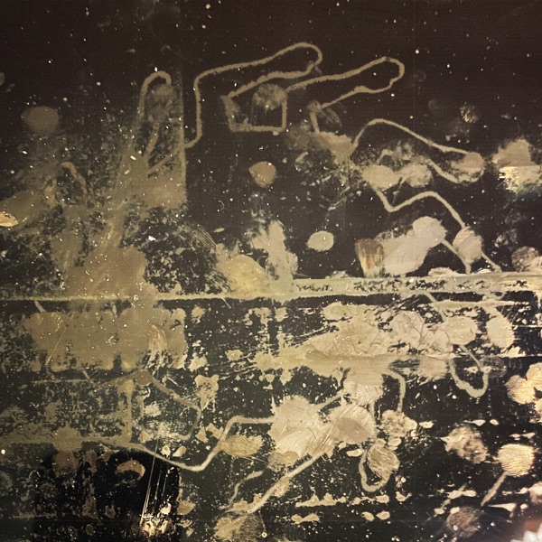Dirty Dog - Single album cover