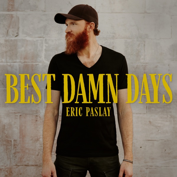 Best Damn Days - Single album cover