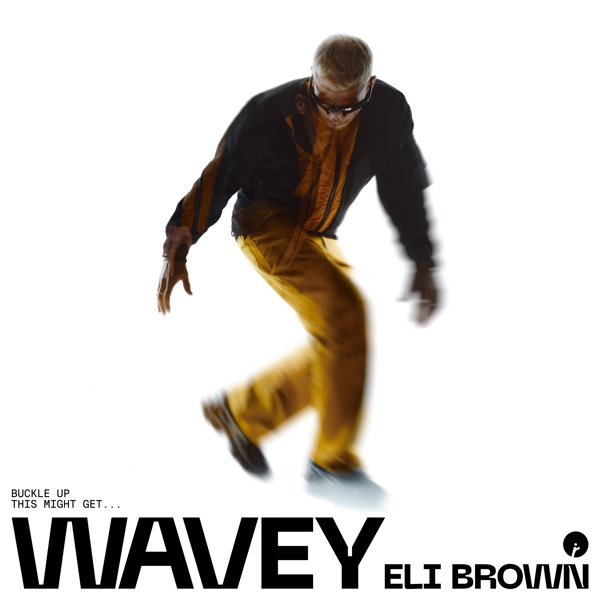 Wavey - Single album cover