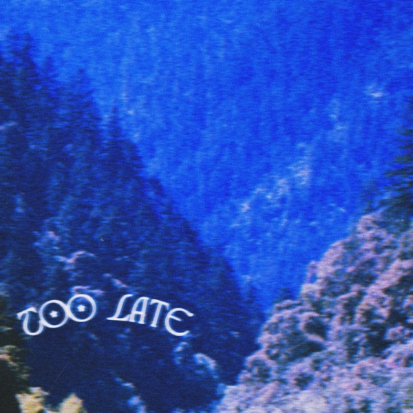 TOO LATE - Single album cover