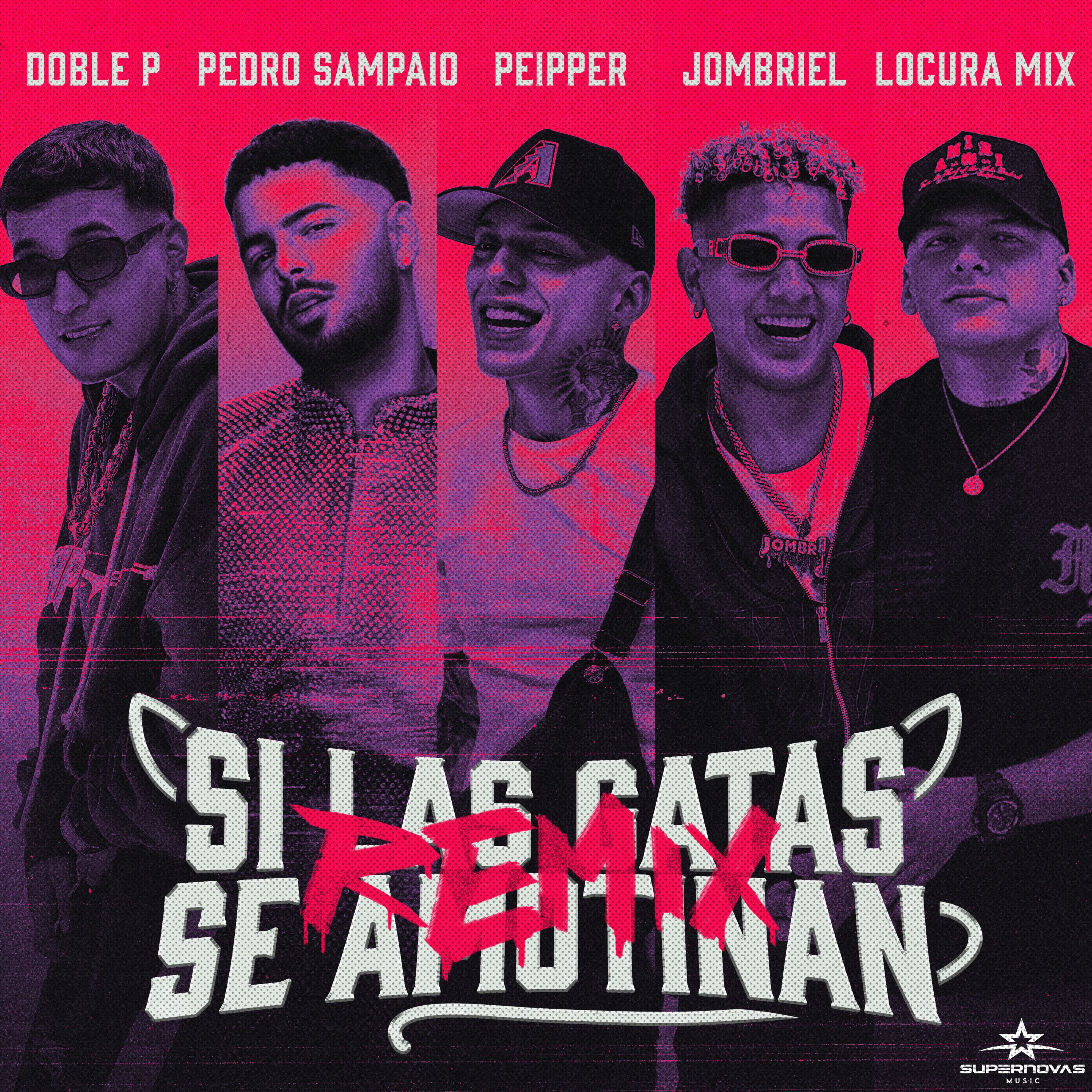 Si Las Gatas Se Amotinan (feat. DobleP) [Remix] - Single album cover