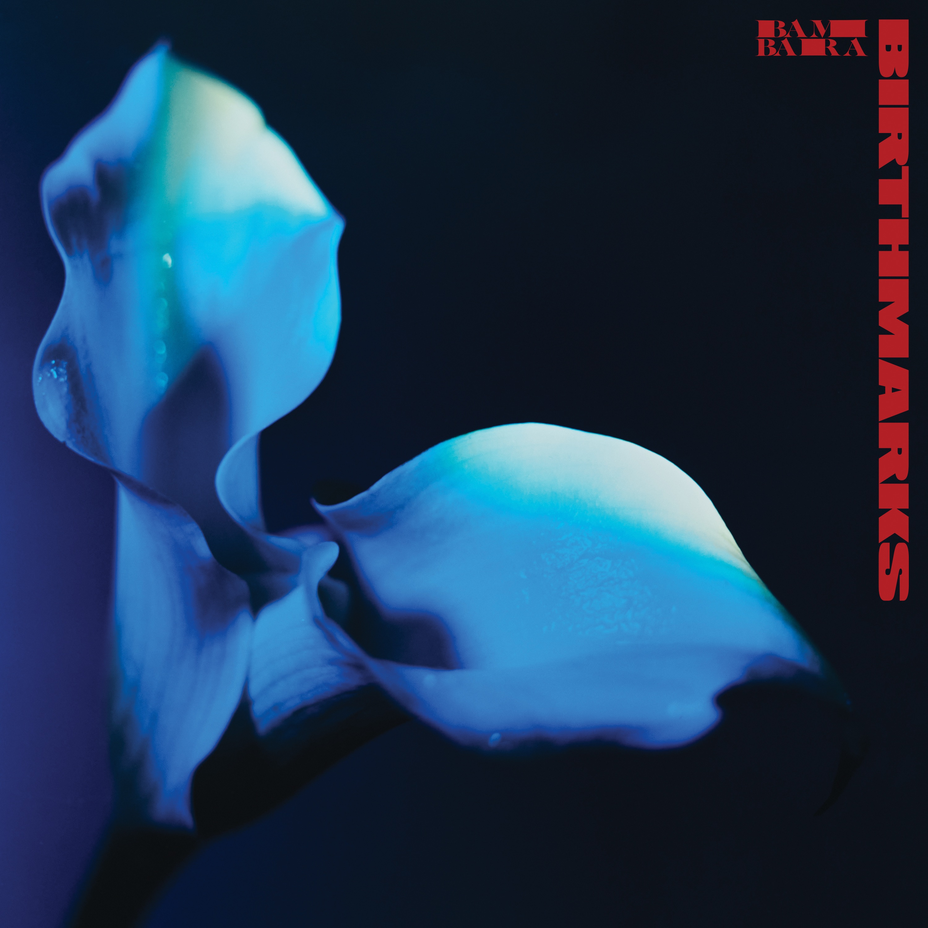 Birthmarks album cover