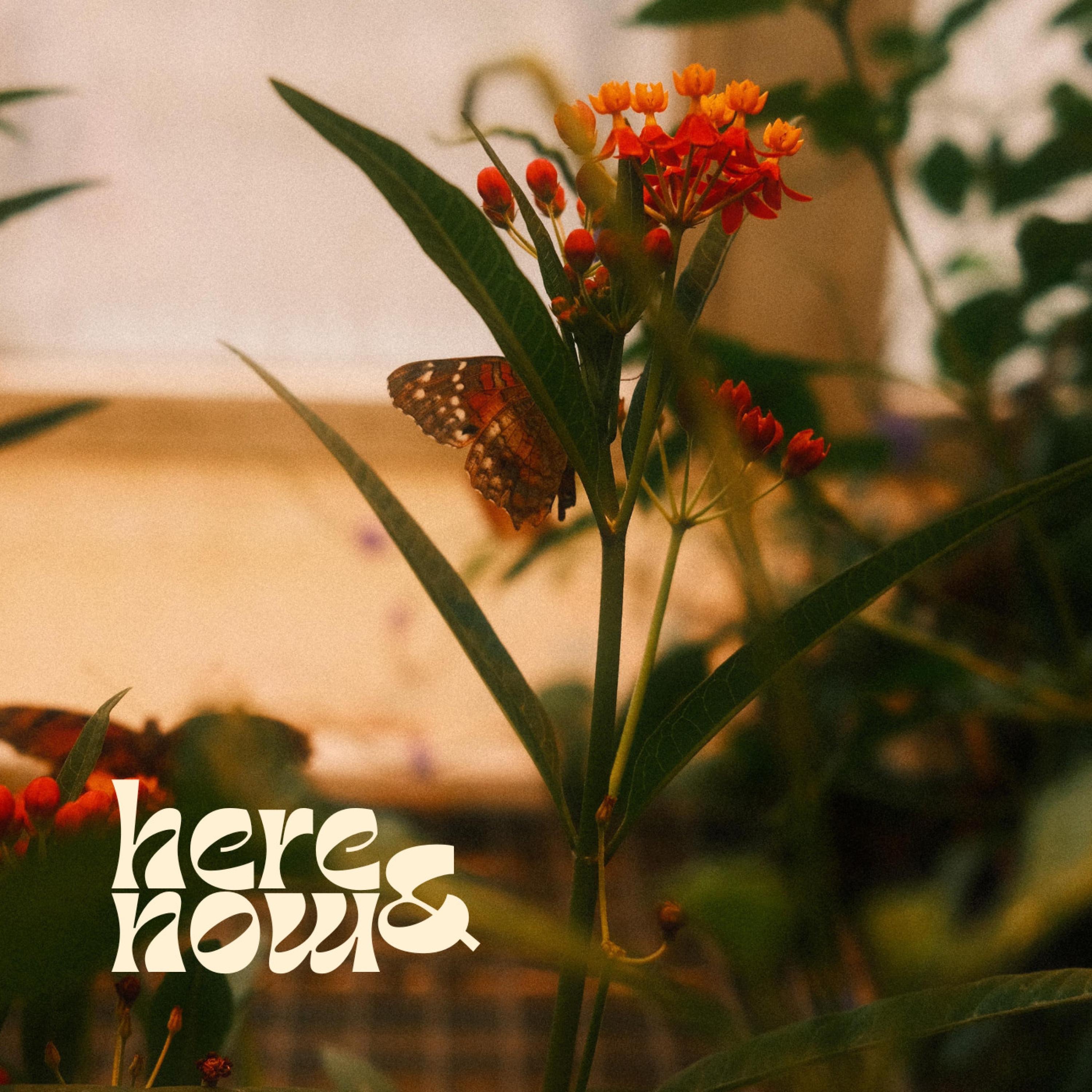 Here&Now (feat. fabienne) - Single album cover