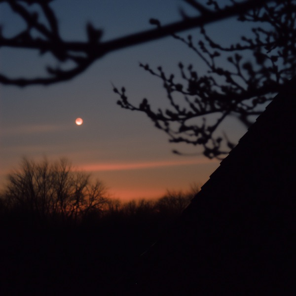 softly spoken - Single album cover