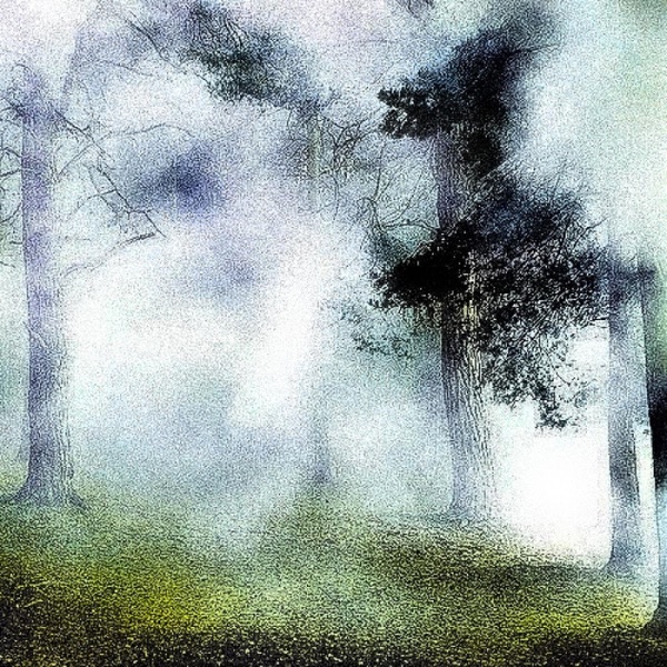 Caiman - Single album cover