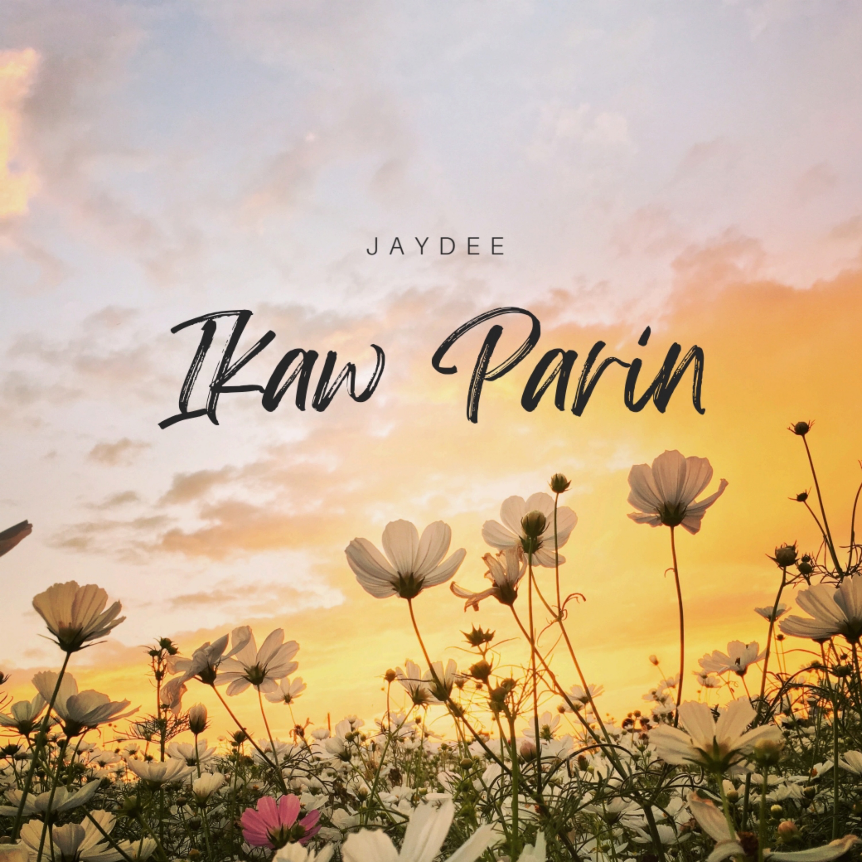 Ikaw Parin - Single album cover