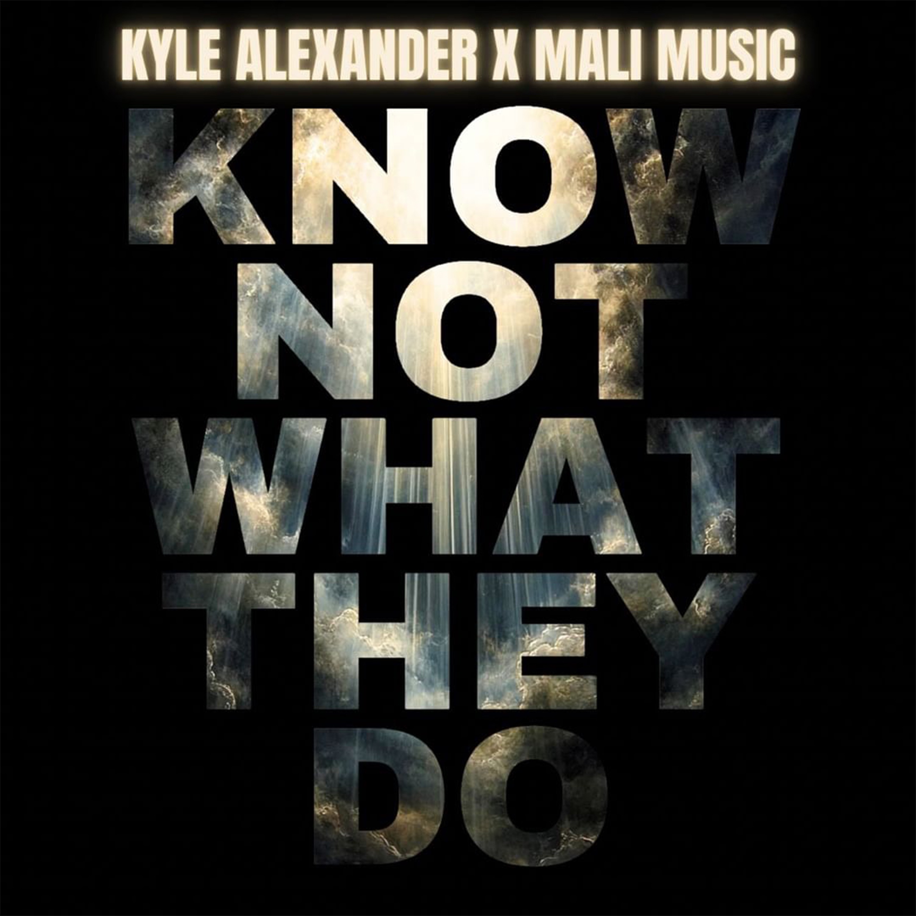 Know Not What They Do (feat. Mali Music) - Single album cover