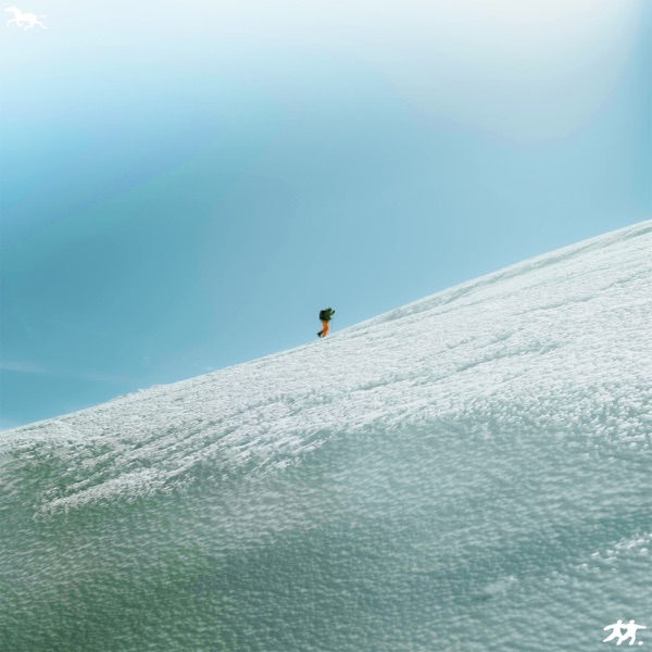 A New Kind Of Love (Advocate Remix) - Single album cover