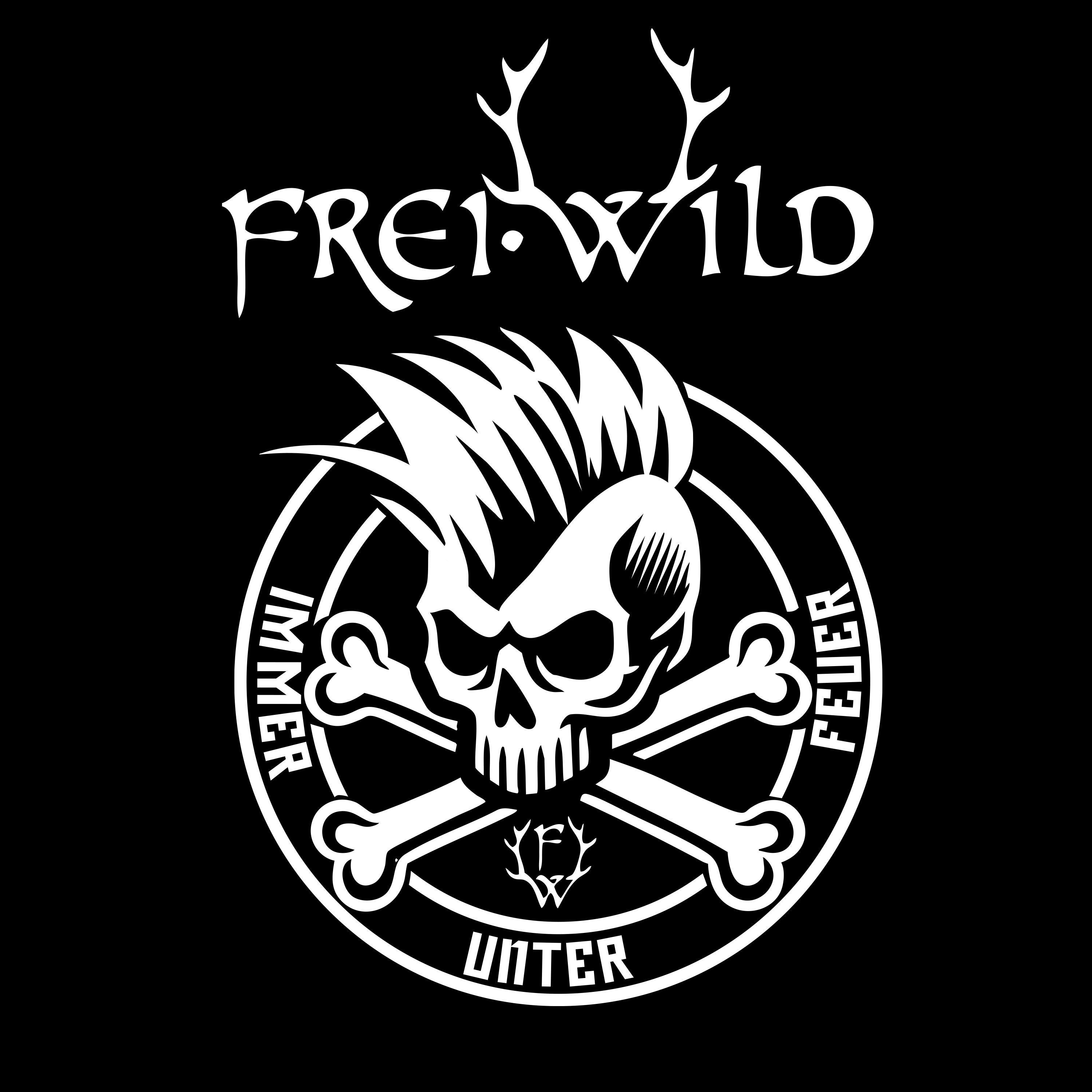 Immer unter Feuer - Single album cover