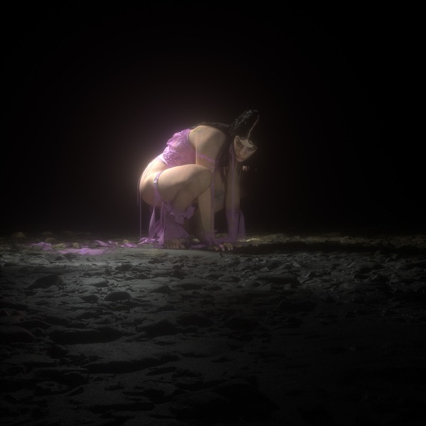 SGSY - Single album cover