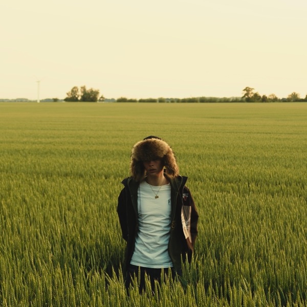 VELVET NOIRE album cover