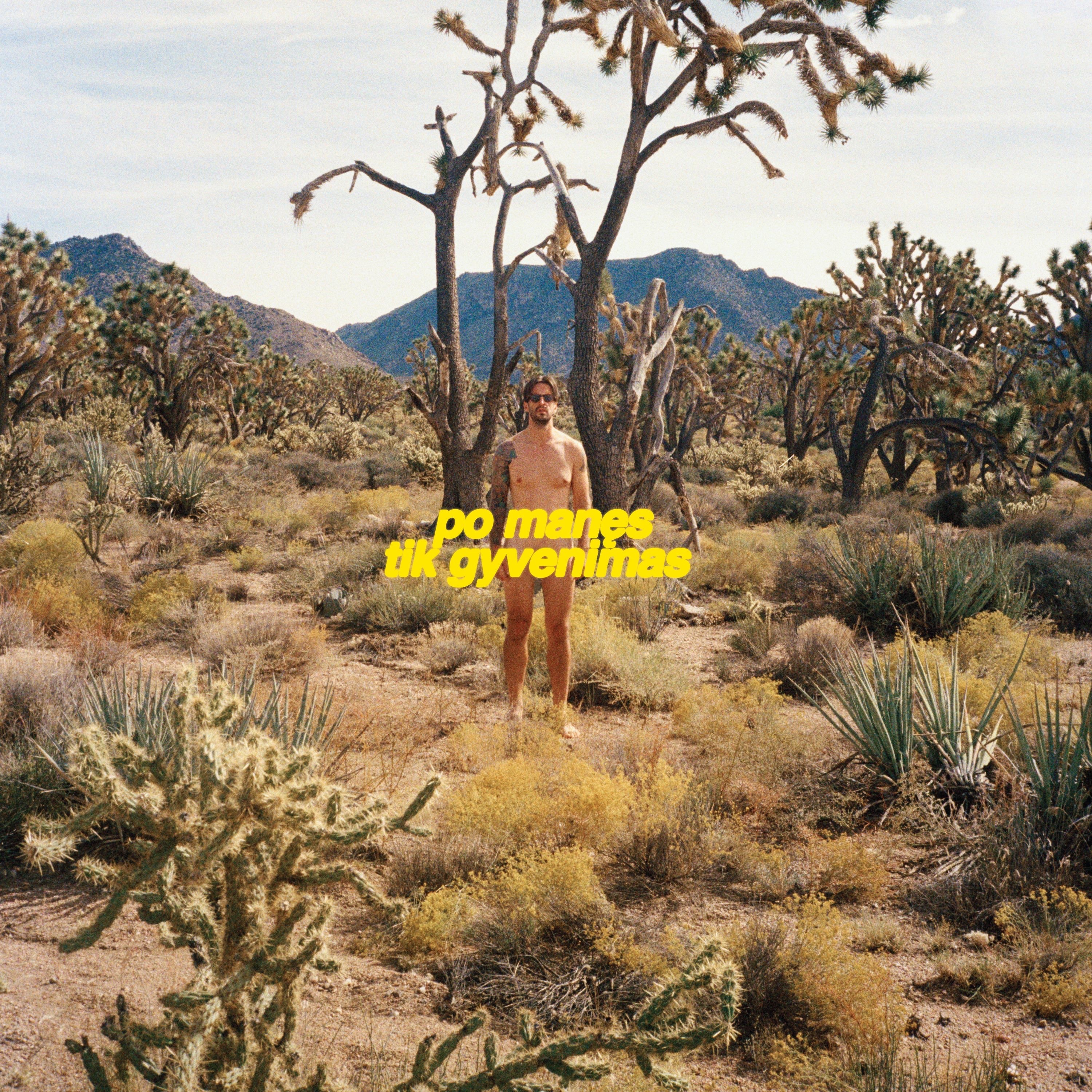 po manęs tik gyvenimas album cover