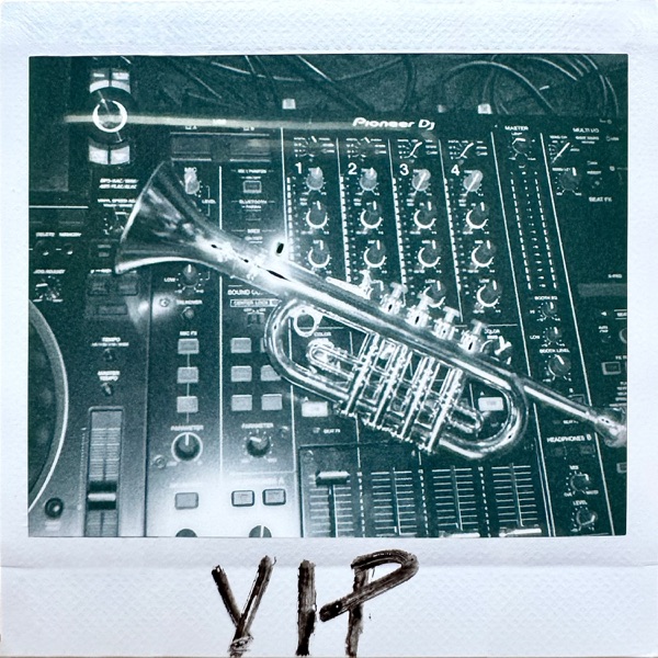 Circles (VIP Mix) - Single album cover