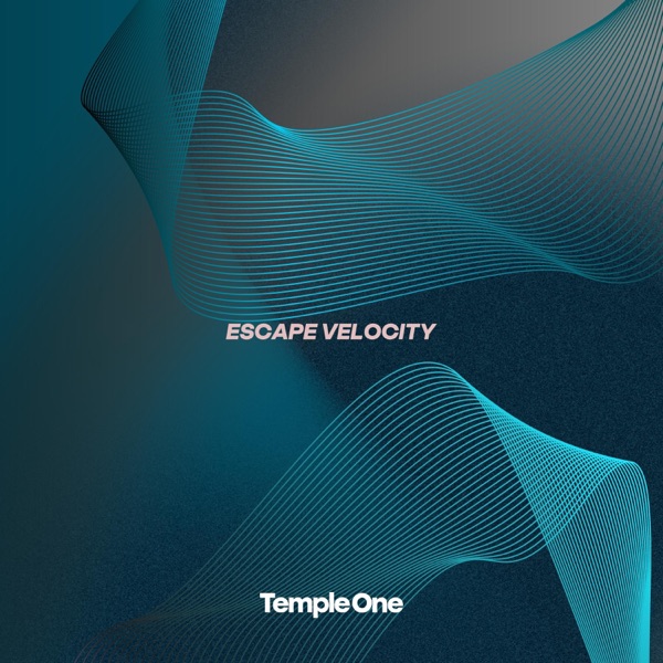 Escape Velocity - Single album cover