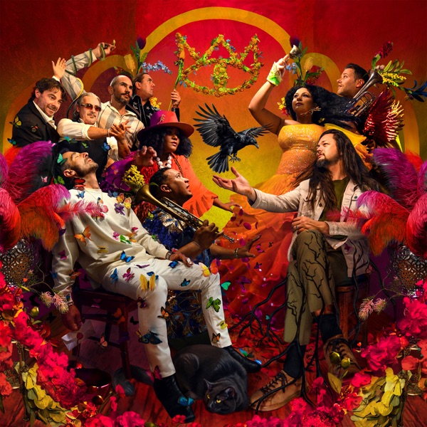 Bird in Paradise (Deluxe Edition) album cover