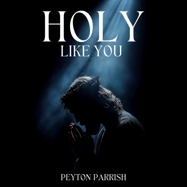 Holy Like You - Single album cover