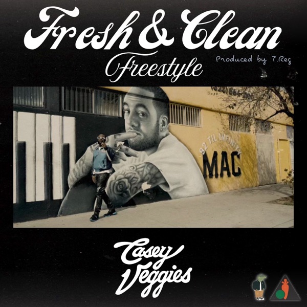 Fresh & Clean Freestyle - Single album cover