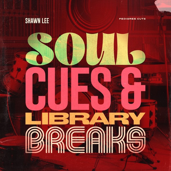 Soul Cues & Library Breaks album cover