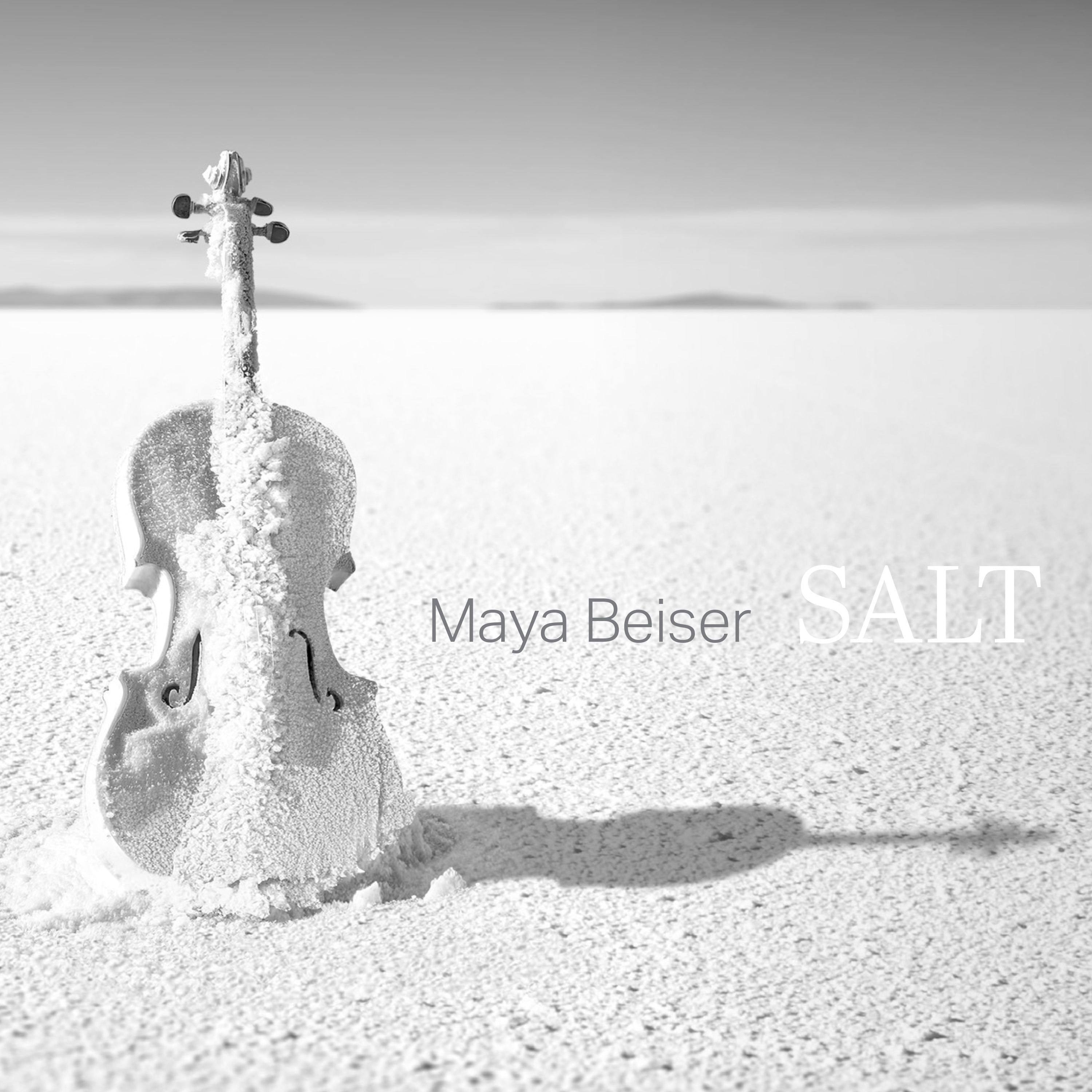 Salt album cover