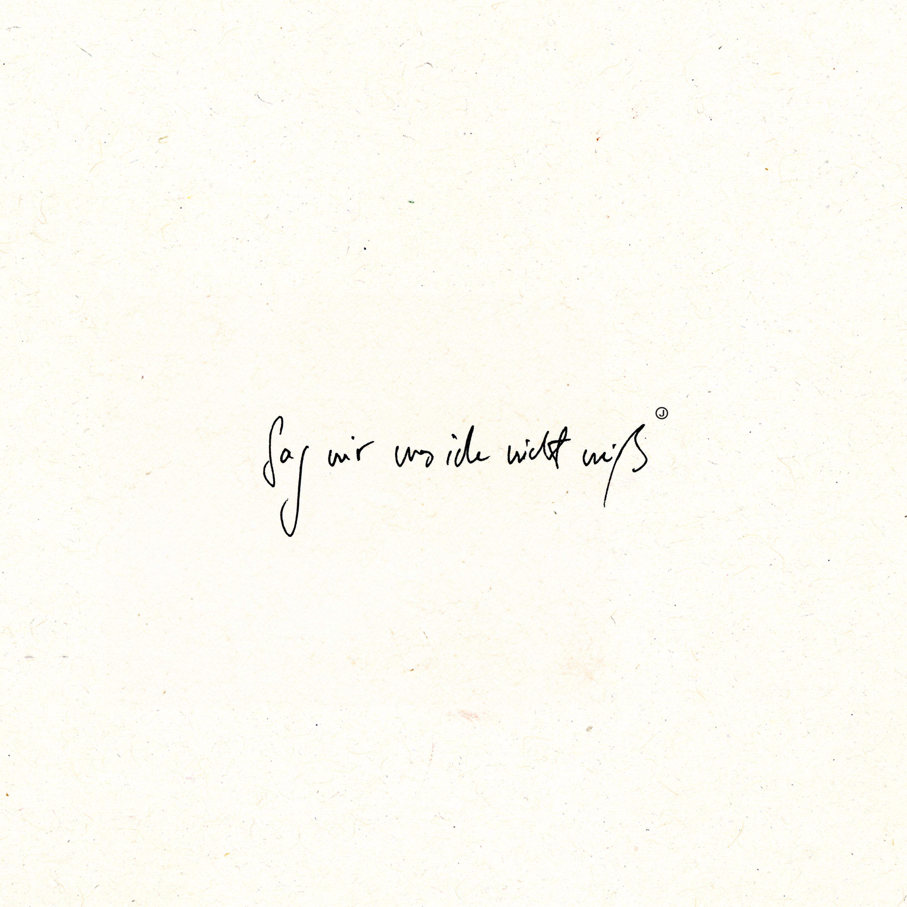 sag mir was ich nicht weiß - Single album cover