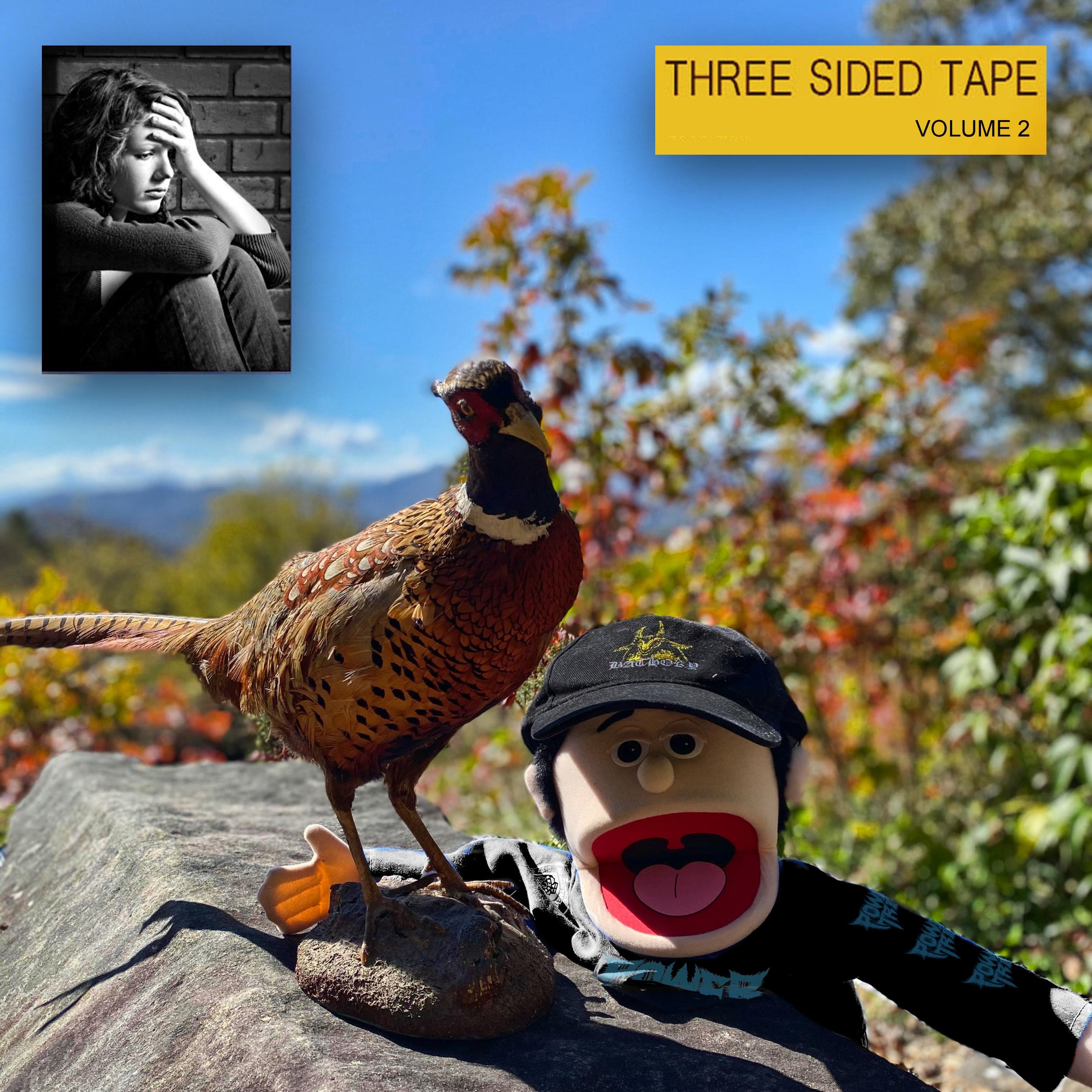 Three Sided Tape Volume TWO album cover