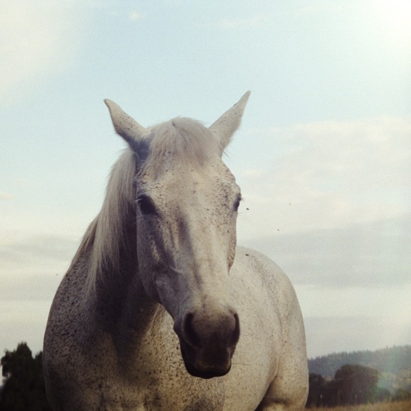 Northstar album cover