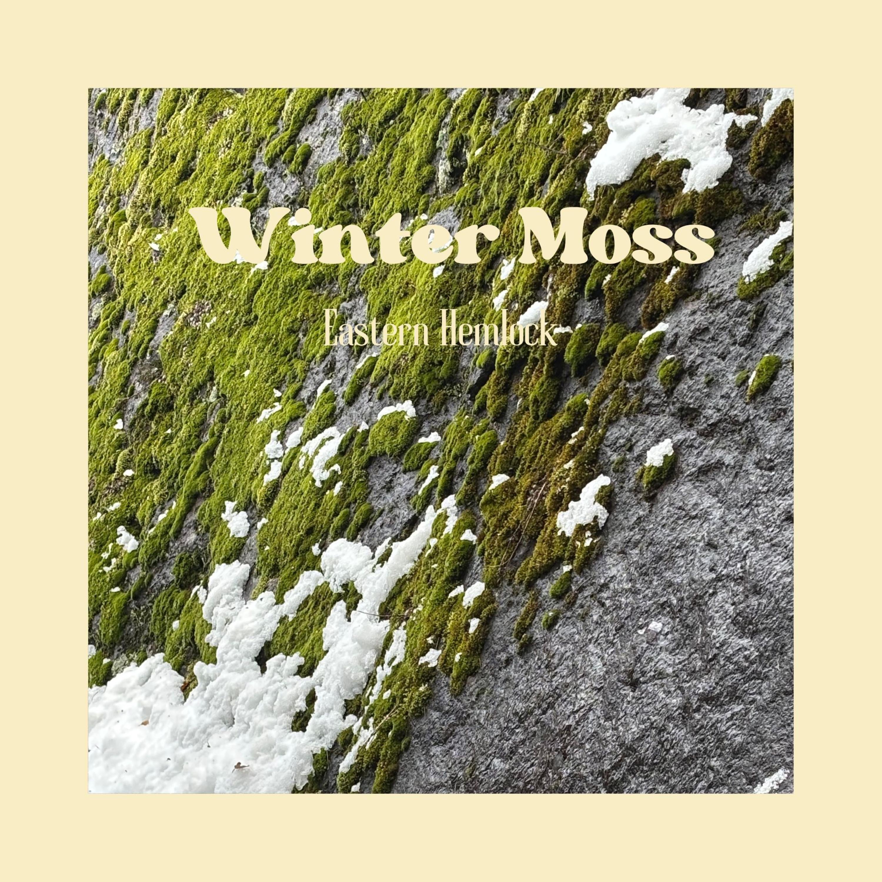 Winter Moss - EP album cover