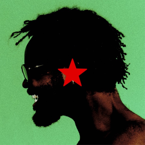 PIRATE RADIO - Single album cover