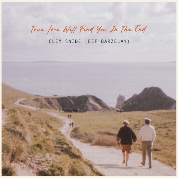 True Love Will Find You in the End - Single album cover