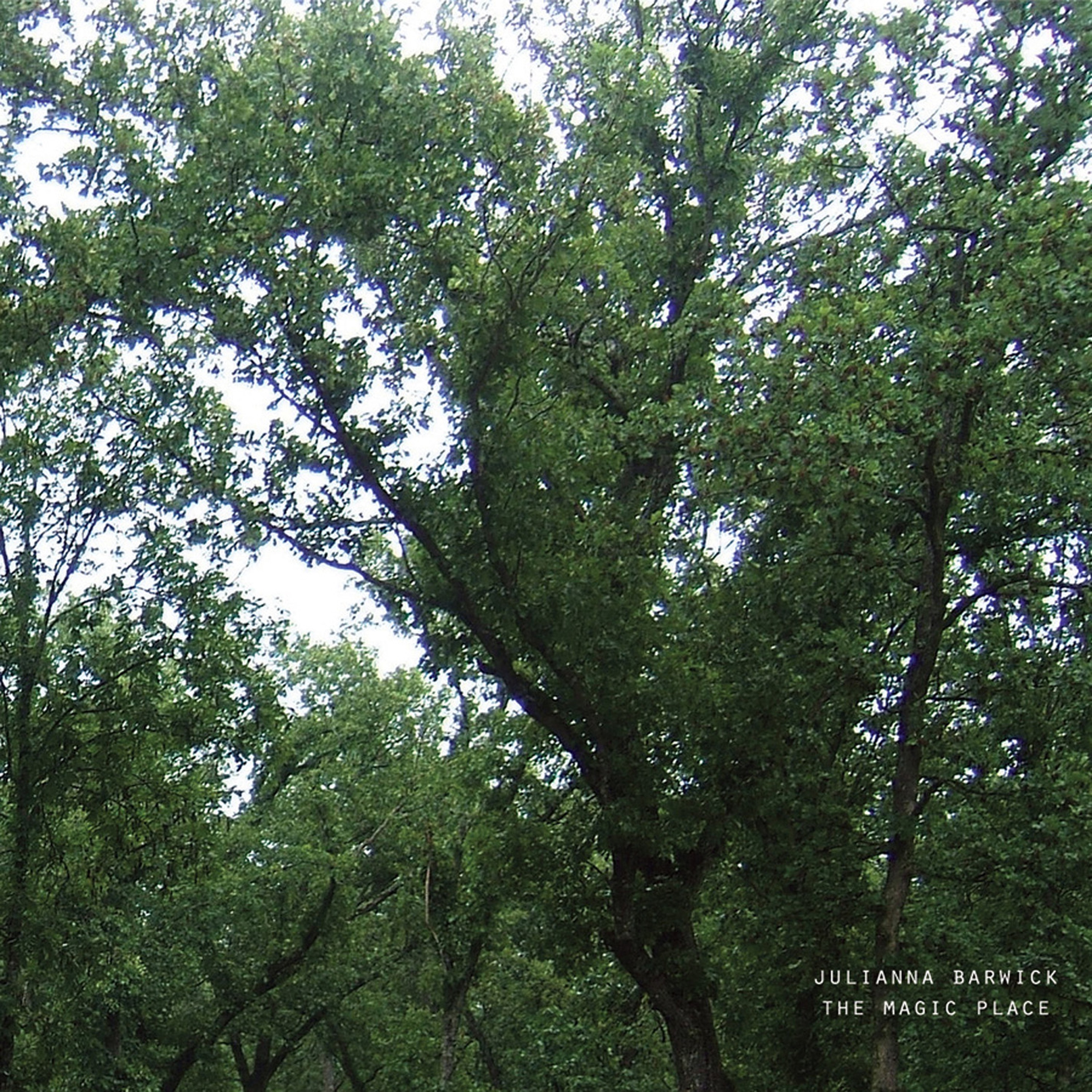 The Magic Place (2024 Remaster) album cover