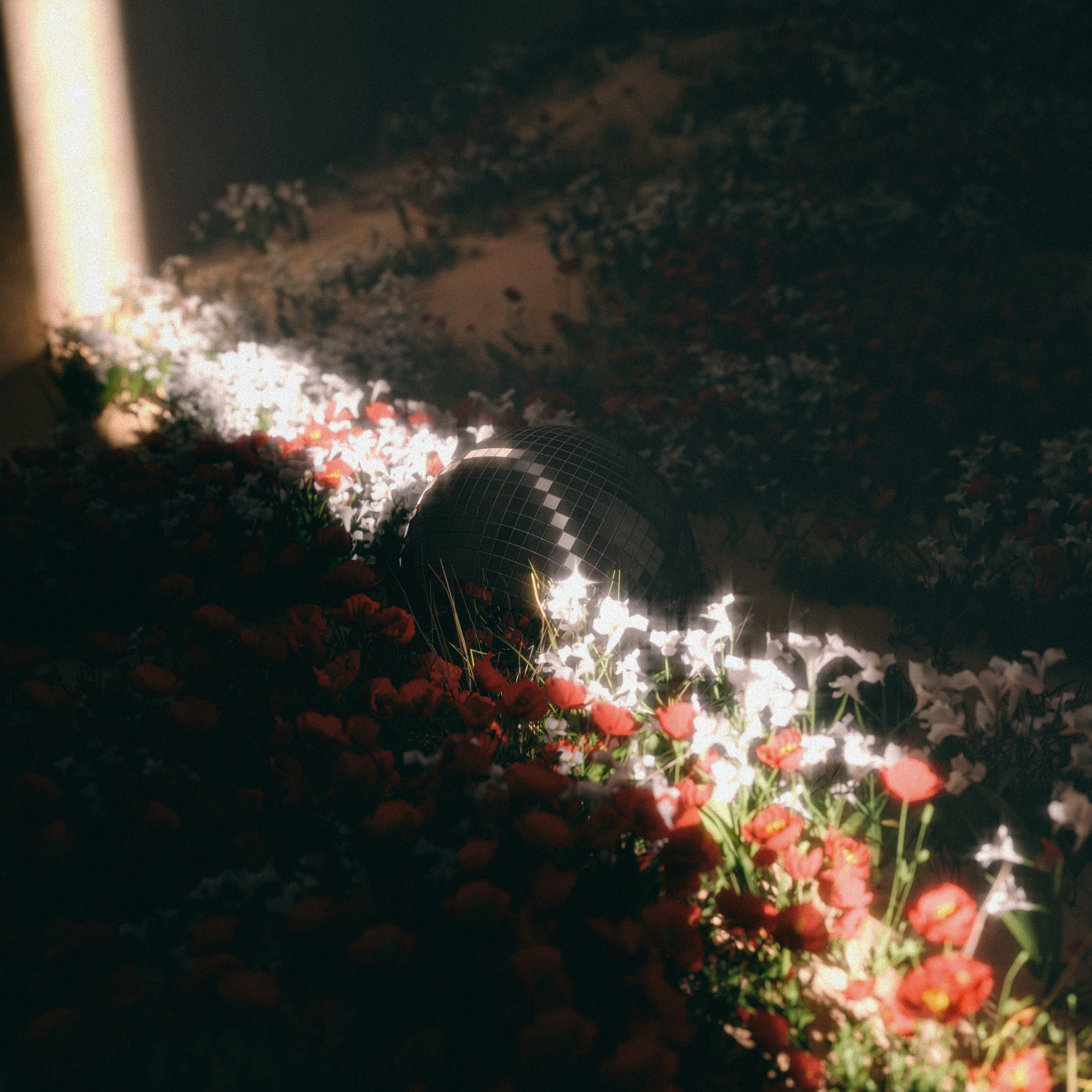 Homecoming (Español) album cover