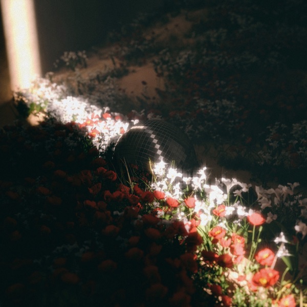 Homecoming (Español) album cover