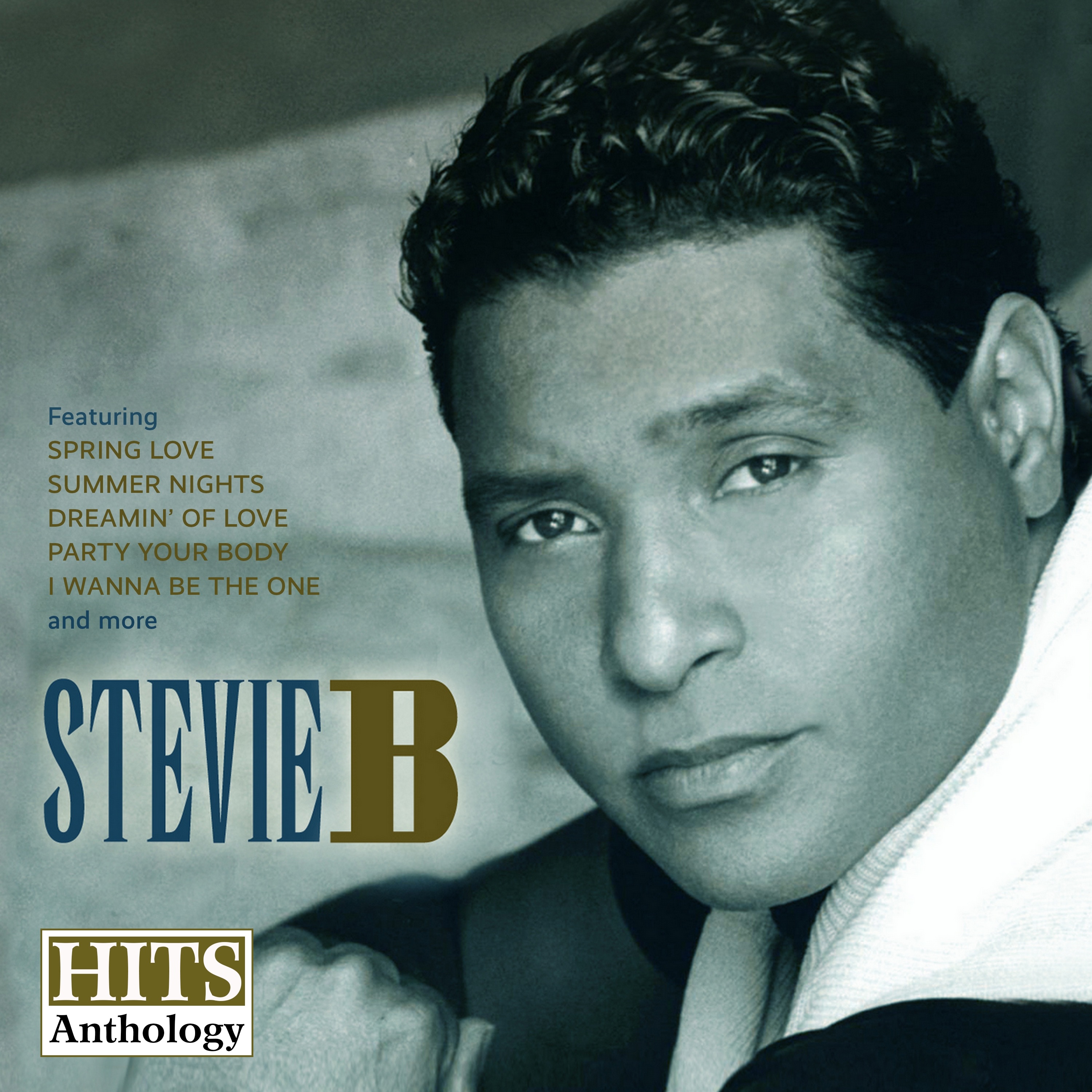 Hits Anthology, Vol. 1 album cover