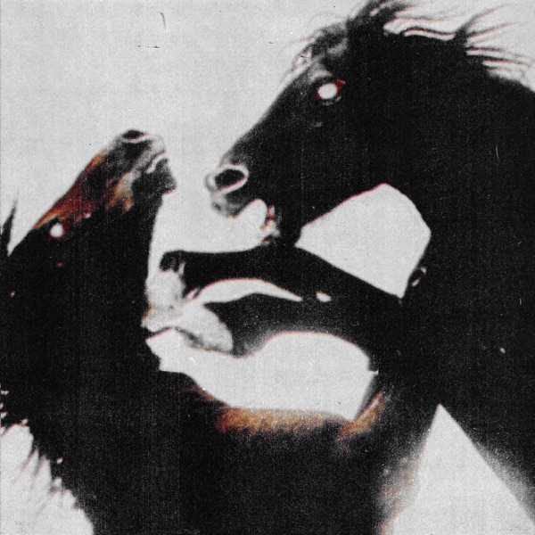Give Me A Show - Single album cover