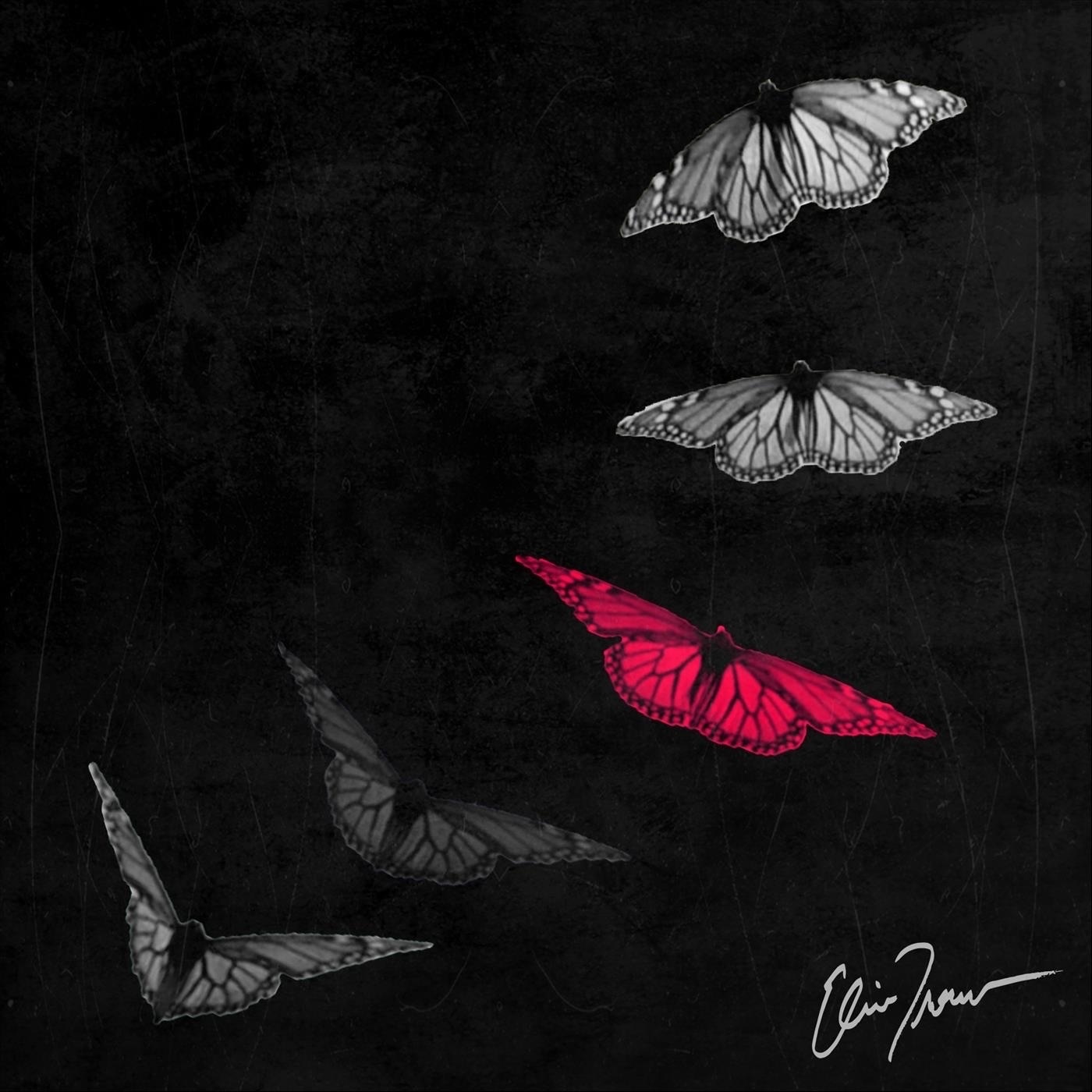 Obsession - Single album cover