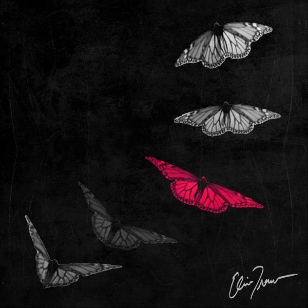 Obsession - Single album cover