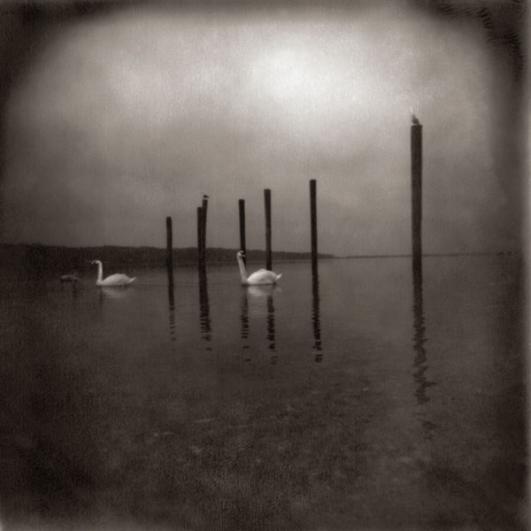 Conference of the Birds album cover