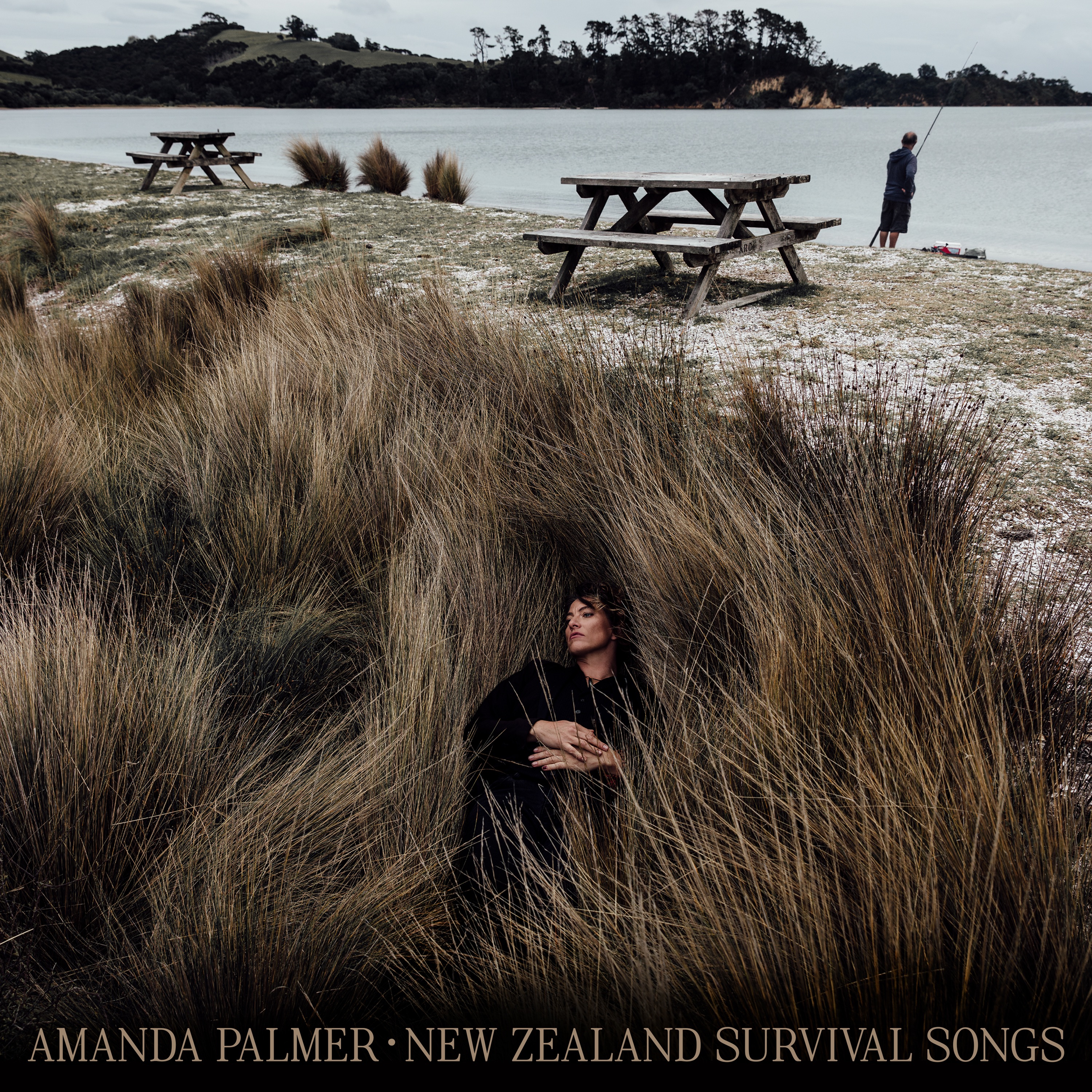 New Zealand Survival Songs album cover