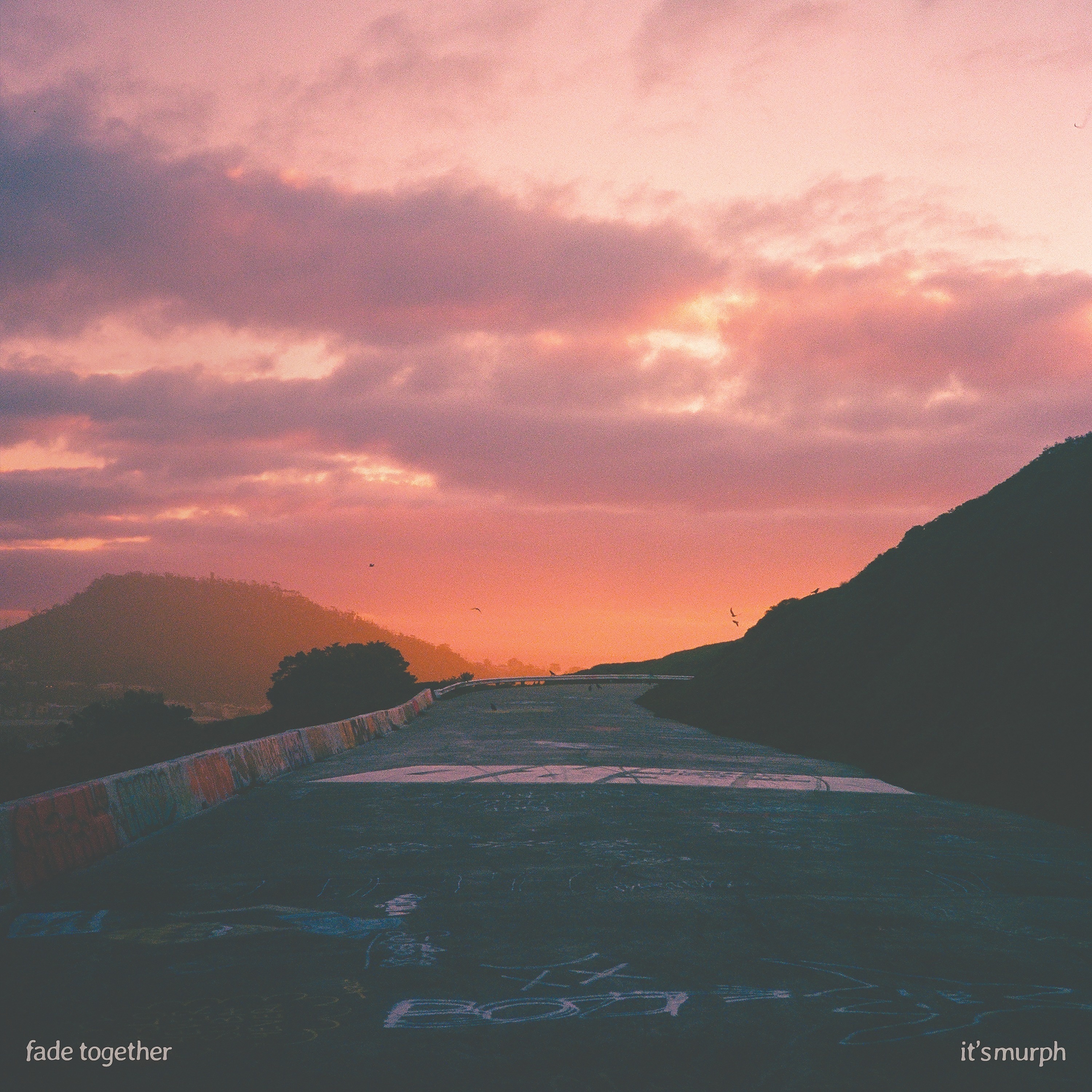 Fade Together - Single album cover