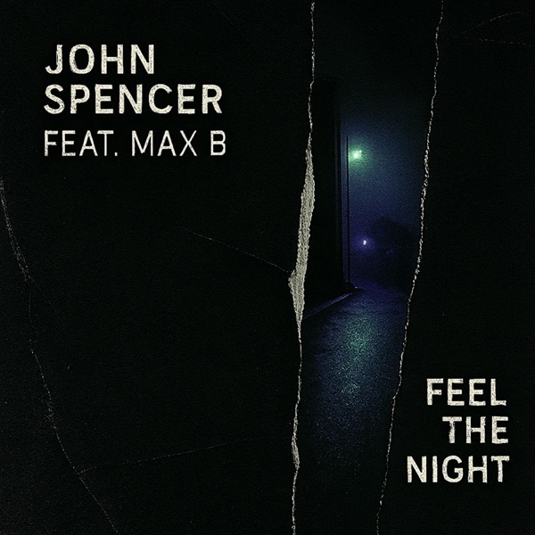 Feel The Night (feat. Max B) album cover