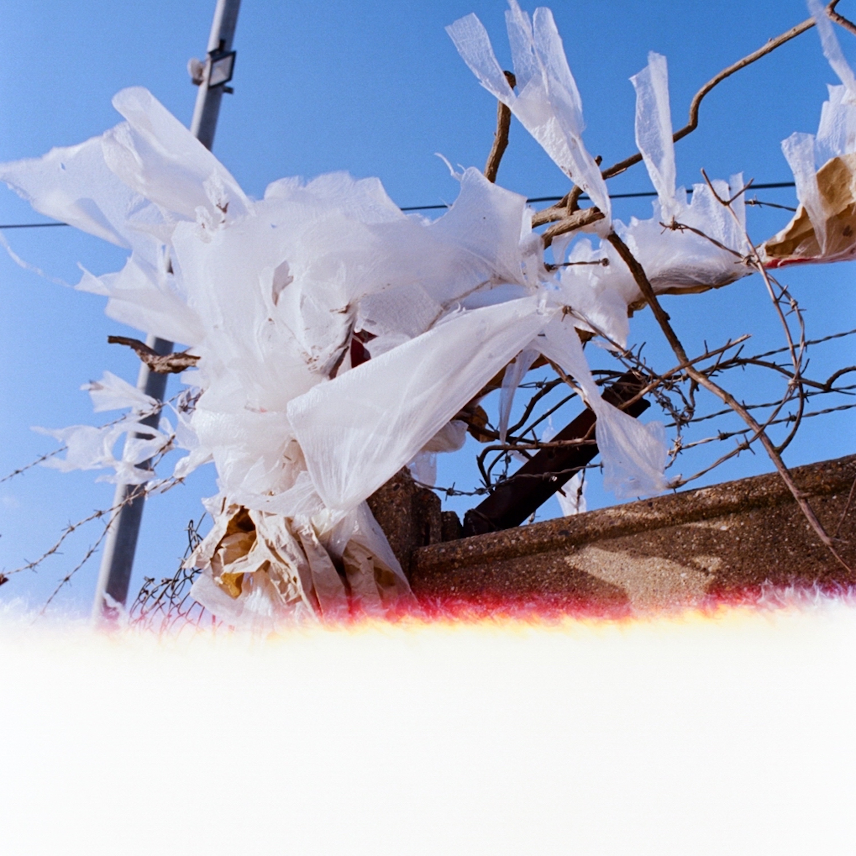 Blonde E.P album cover