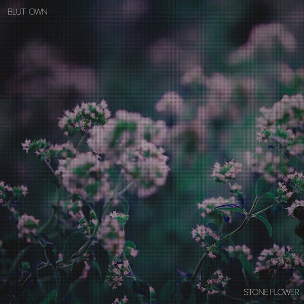 Stone Flower - Single album cover