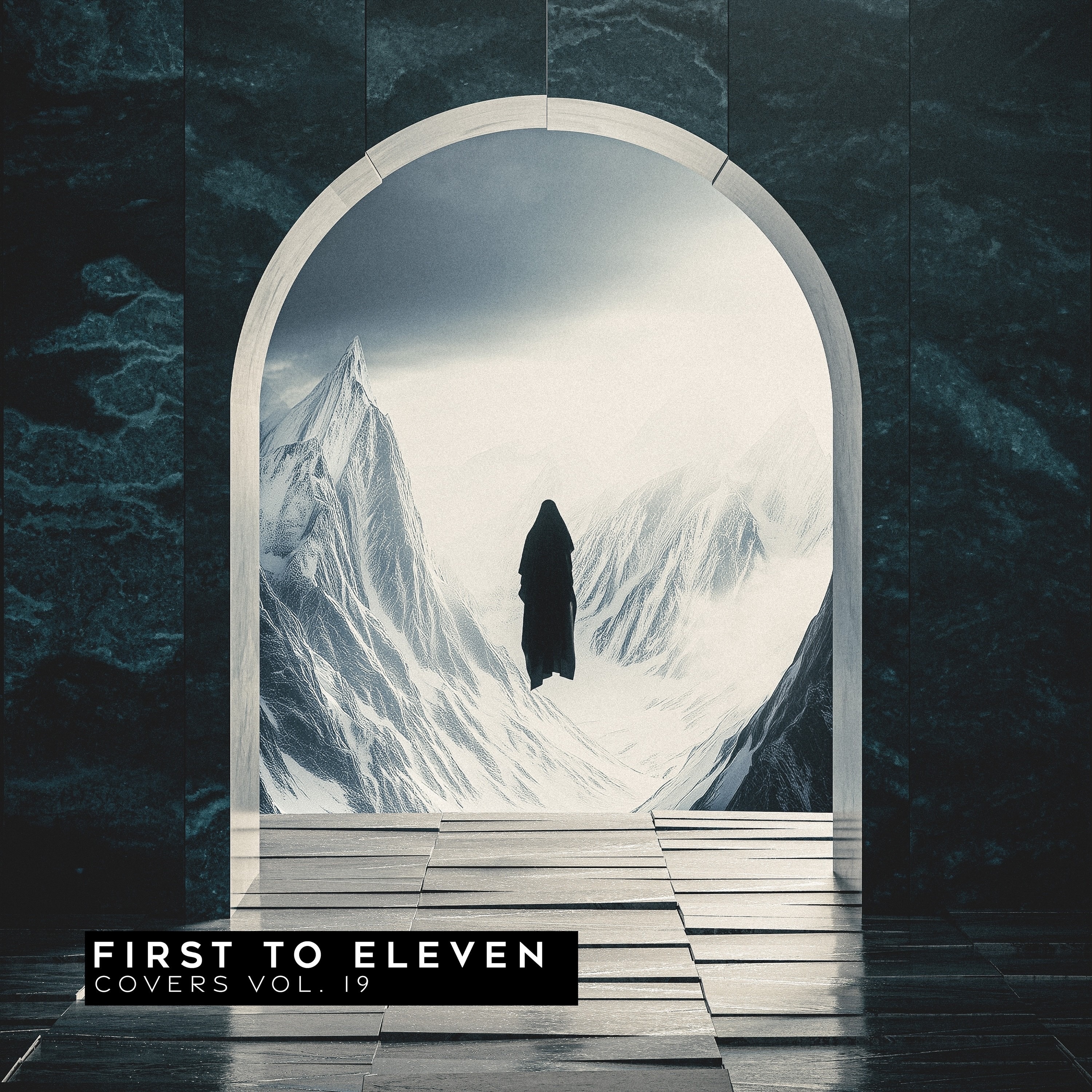 Covers Vol. 19 album cover