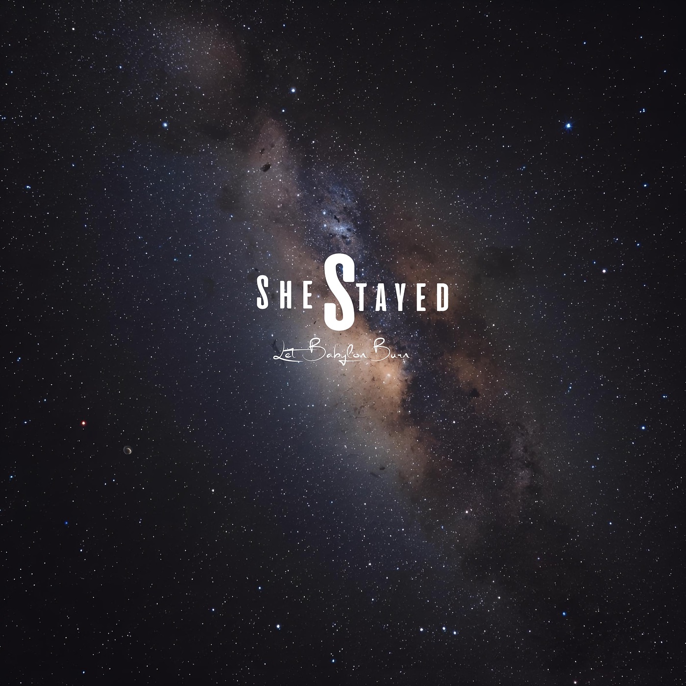She Stayed - Single album cover
