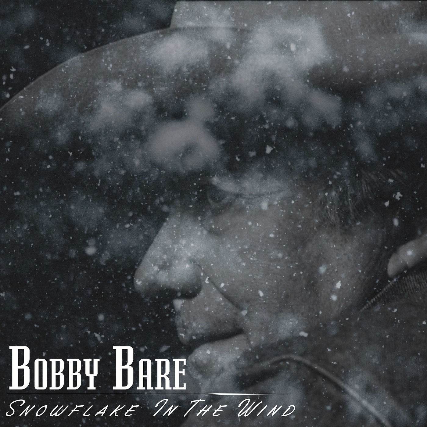 Snowflake in the Wind - Single album cover