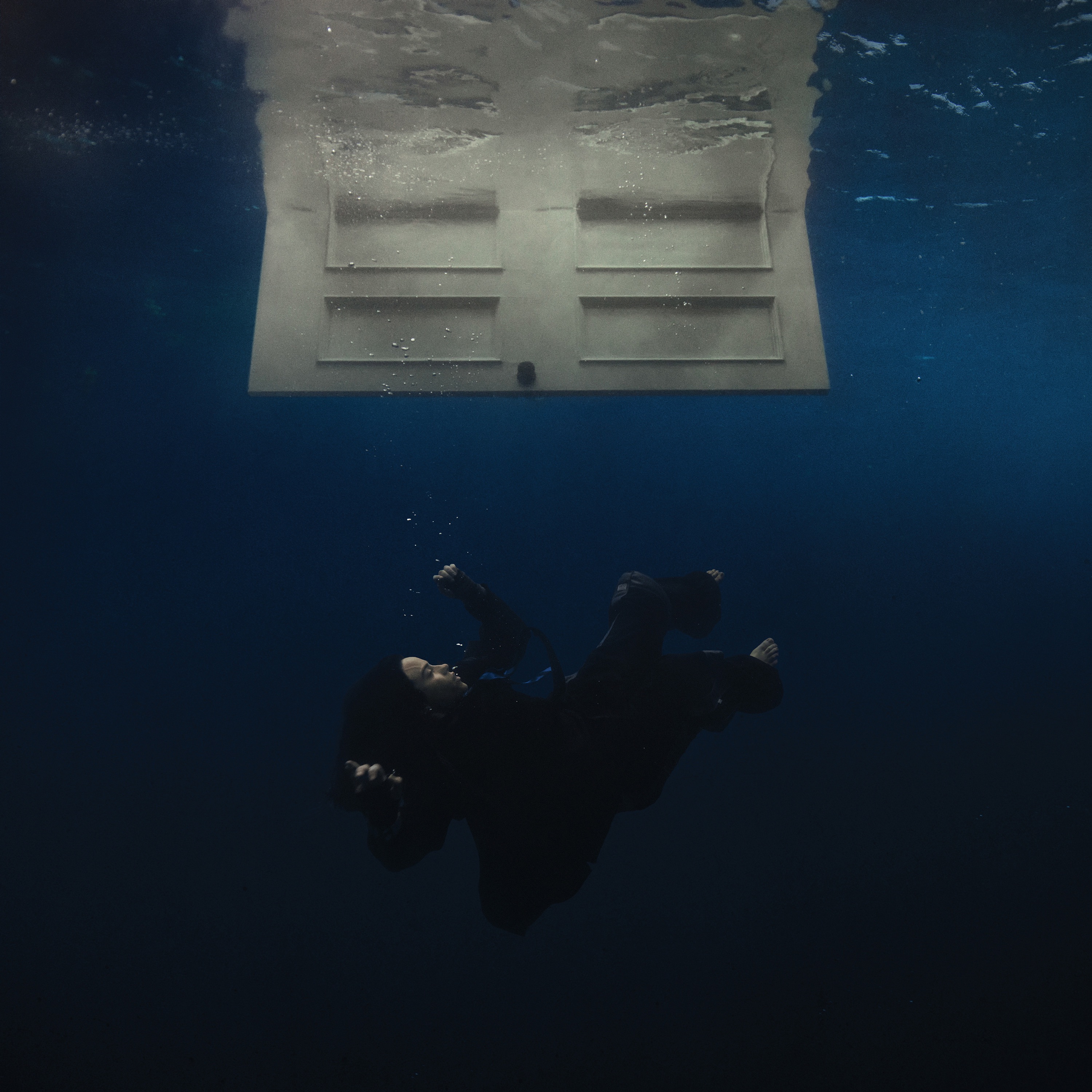 HIT ME HARD AND SOFT album cover