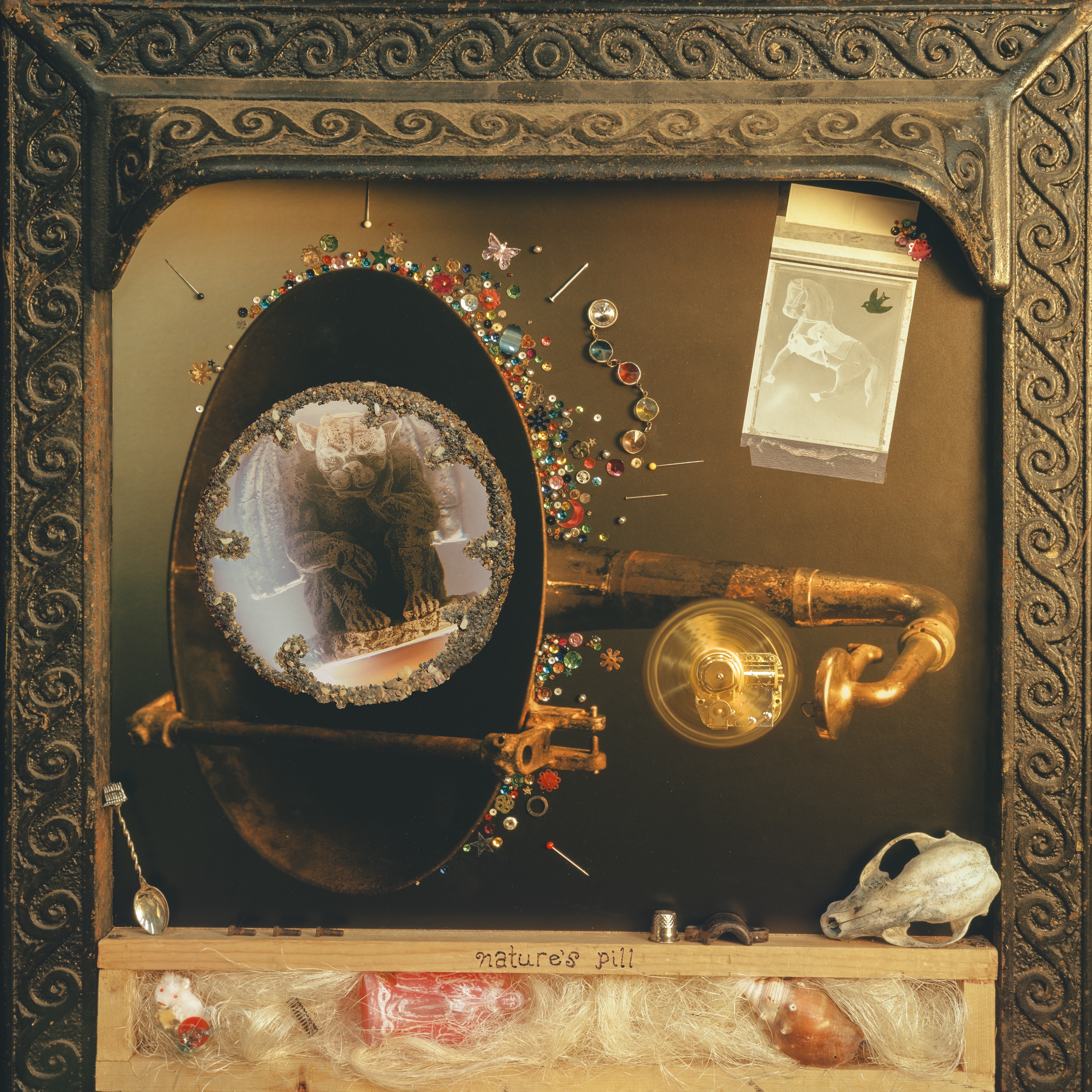 Nature's Pill album cover