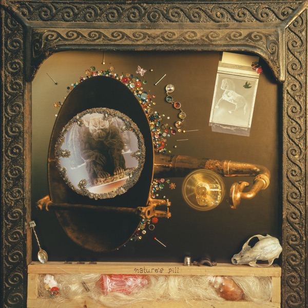 Nature's Pill album cover